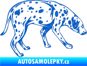 Samolepka Pes 001 pravá Dalmatin 3D karbon modrý