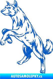 Samolepka Pes 025 levá 3D karbon modrý