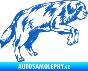 Samolepka Pes 034 pravá 3D karbon modrý