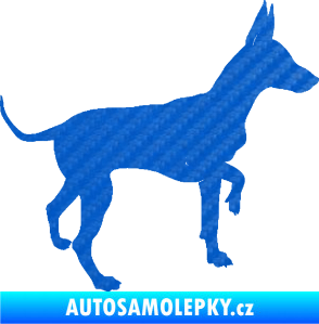 Samolepka Pes 093 pravá Pražský krysařík 3D karbon modrý