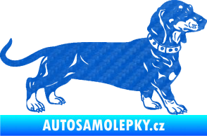 Samolepka Pes 122 pravá jezevčík 3D karbon modrý