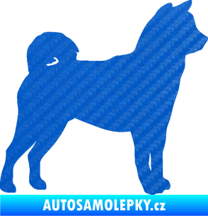 Samolepka Pes 191 pravá Shiba - Inu 3D karbon modrý
