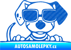 Samolepka Pes s brýlemi 101 pravá v autě 3D karbon modrý