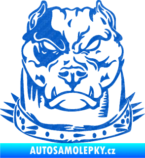 Samolepka Pitbull hlava 005 pravá 3D karbon modrý