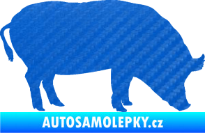 Samolepka Prase 004 pravá 3D karbon modrý