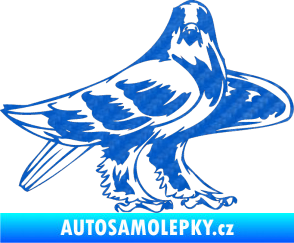 Samolepka Predators 047 pravá 3D karbon modrý