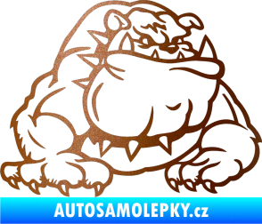 Samolepka Buldog 001 pravá pes měděná metalíza