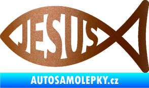 Samolepka Jesus rybička 003 křesťanský symbol měděná metalíza
