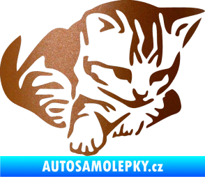 Samolepka Koťátko 003 pravá měděná metalíza
