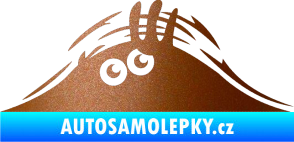 Samolepka Kuk 001 levá šmírák měděná metalíza