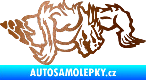Samolepka Ostnatej pravá měděná metalíza