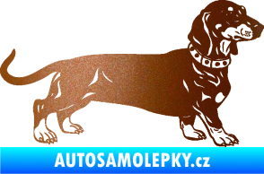 Samolepka Pes 122 pravá jezevčík měděná metalíza