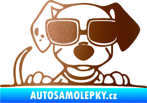 Samolepka Pes s brýlemi 101 pravá v autě měděná metalíza