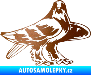 Samolepka Predators 047 pravá měděná metalíza