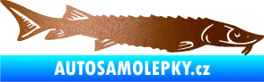 Samolepka Ryba 020 pravá jeseter měděná metalíza