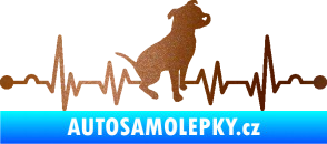 Samolepka Srdeční tep 007 pravá pitbull měděná metalíza