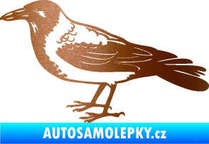 Samolepka Vrána 001 levá měděná metalíza