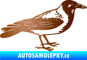 Samolepka Vrána 001 pravá měděná metalíza