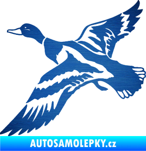 Samolepka Kachna divoká 001 levá kačer škrábaný kov modrý