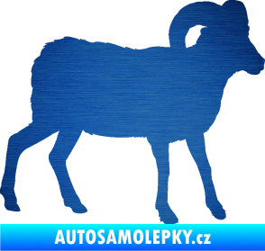 Samolepka Kozel 004 pravá škrábaný kov modrý