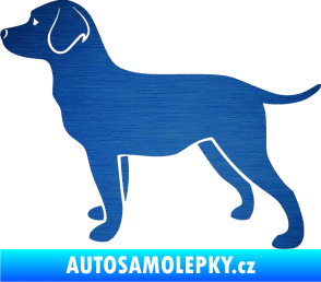 Samolepka Pes 062 levá Labrador škrábaný kov modrý