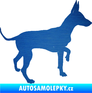 Samolepka Pes 093 pravá Pražský krysařík škrábaný kov modrý