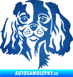 Samolepka Pes 132 pravá Cavalier king Charles spaniel škrábaný kov modrý