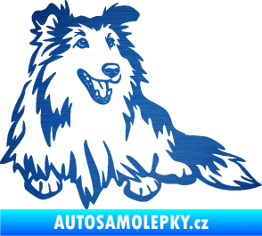 Samolepka Pes 162 pravá sheltie škrábaný kov modrý