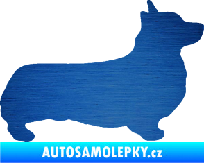 Samolepka Pes 164 pravá Welsh Corgi Pembroke škrábaný kov modrý