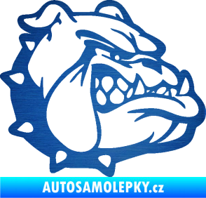 Samolepka Pes 174 pravá rozzuřený buldok škrábaný kov modrý