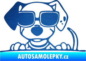 Samolepka Pes s brýlemi 101 levá v autě škrábaný kov modrý