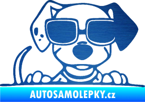 Samolepka Pes s brýlemi 101 pravá v autě škrábaný kov modrý