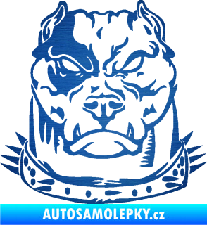 Samolepka Pitbull hlava 005 pravá škrábaný kov modrý