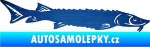 Samolepka Ryba 020 pravá jeseter škrábaný kov modrý