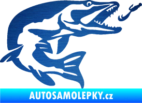 Samolepka Štika 005 pravá s návnadou škrábaný kov modrý