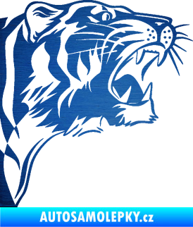 Samolepka Tygr 002 pravá škrábaný kov modrý