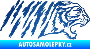 Samolepka Tygr 004 pravá škrábaný kov modrý