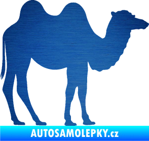 Samolepka Velbloud 003 pravá škrábaný kov modrý