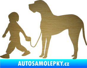 Samolepka Chlapec venčí psa levá škrábaný kov zlatý