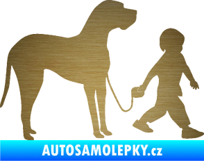 Samolepka Chlapec venčí psa pravá škrábaný kov zlatý