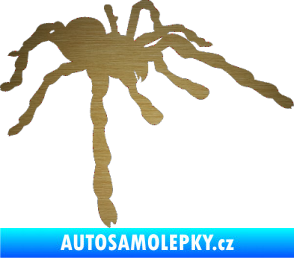 Samolepka Pavouk 013 - pravá škrábaný kov zlatý