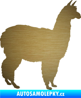 Samolepka Lama 002 pravá alpaka škrábaný kov zlatý