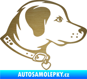 Samolepka Pes 058 pravá škrábaný kov zlatý