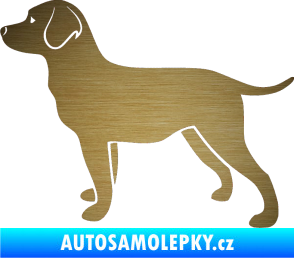 Samolepka Pes 062 levá Labrador škrábaný kov zlatý