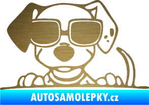 Samolepka Pes s brýlemi 101 levá v autě škrábaný kov zlatý