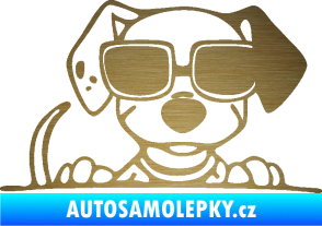 Samolepka Pes s brýlemi 101 pravá v autě škrábaný kov zlatý