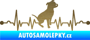 Samolepka Srdeční tep 007 pravá pitbull škrábaný kov zlatý