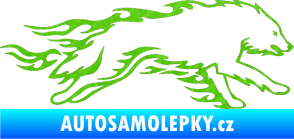 Samolepka Animal flames 032 pravá vlk 3D karbon zelený kawasaki