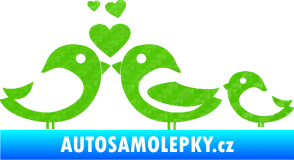 Samolepka Bird family 001 rodina v autě 3D karbon zelený kawasaki