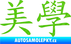 Samolepka Čínský znak Esthetics 3D karbon zelený kawasaki